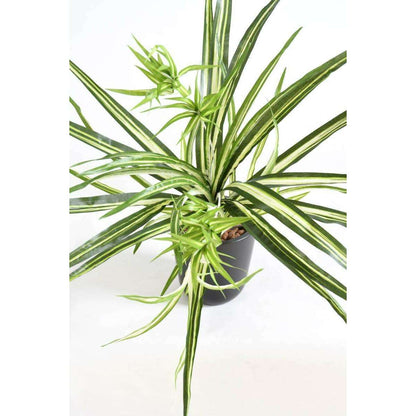 Plante artificielle Chlorophytum en piquet - déco d'intérieur - H.60cm panaché