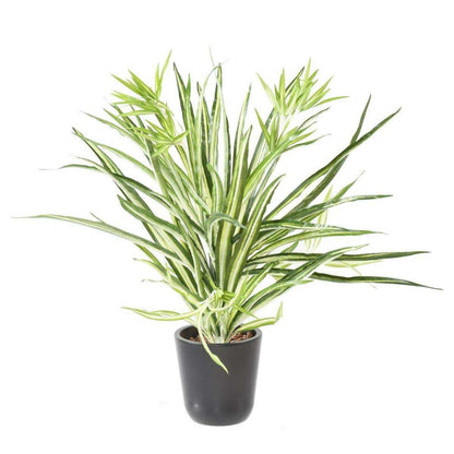 Plante artificielle Chlorophytum en piquet - déco d'intérieur - H.65cm vert blanc