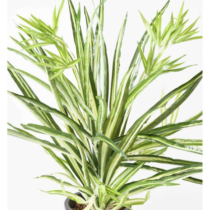 Plante artificielle Chlorophytum en piquet - déco d'intérieur - H.65cm vert blanc