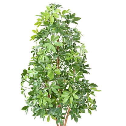 Plante artificielle Choisya Tree Plast UV - intérieur extérieur - H.150cm