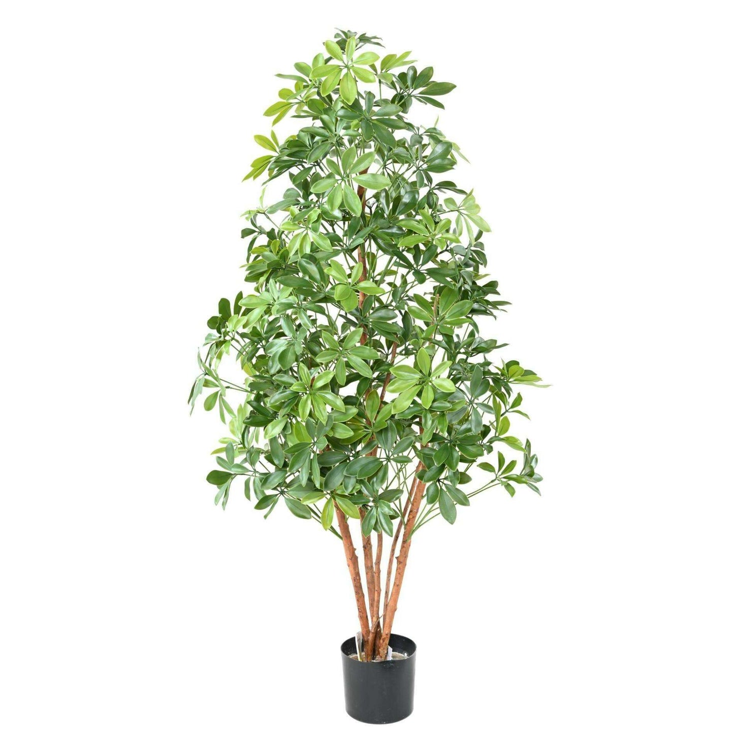 Plante artificielle Choisya Tree Plast UV - intérieur extérieur - H.150cm