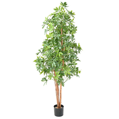 Plante artificielle Choisya Tree Plast UV - intérieur extérieur - H.180cm