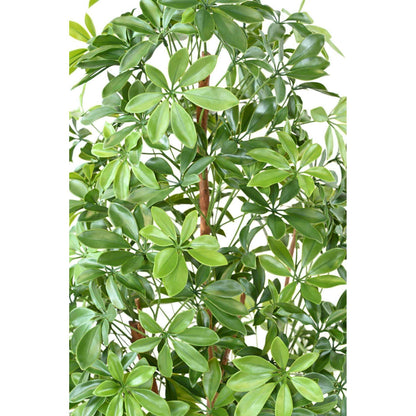 Plante artificielle Choisya Tree Plast UV - intérieur extérieur - H.180cm