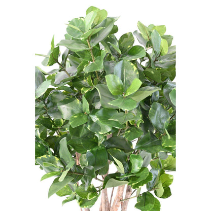 Plante artificielle Clusia buisson - décoration d'intérieur - H.95cm panaché