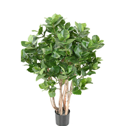 Plante artificielle Clusia buisson - décoration d'intérieur - H.95cm panaché