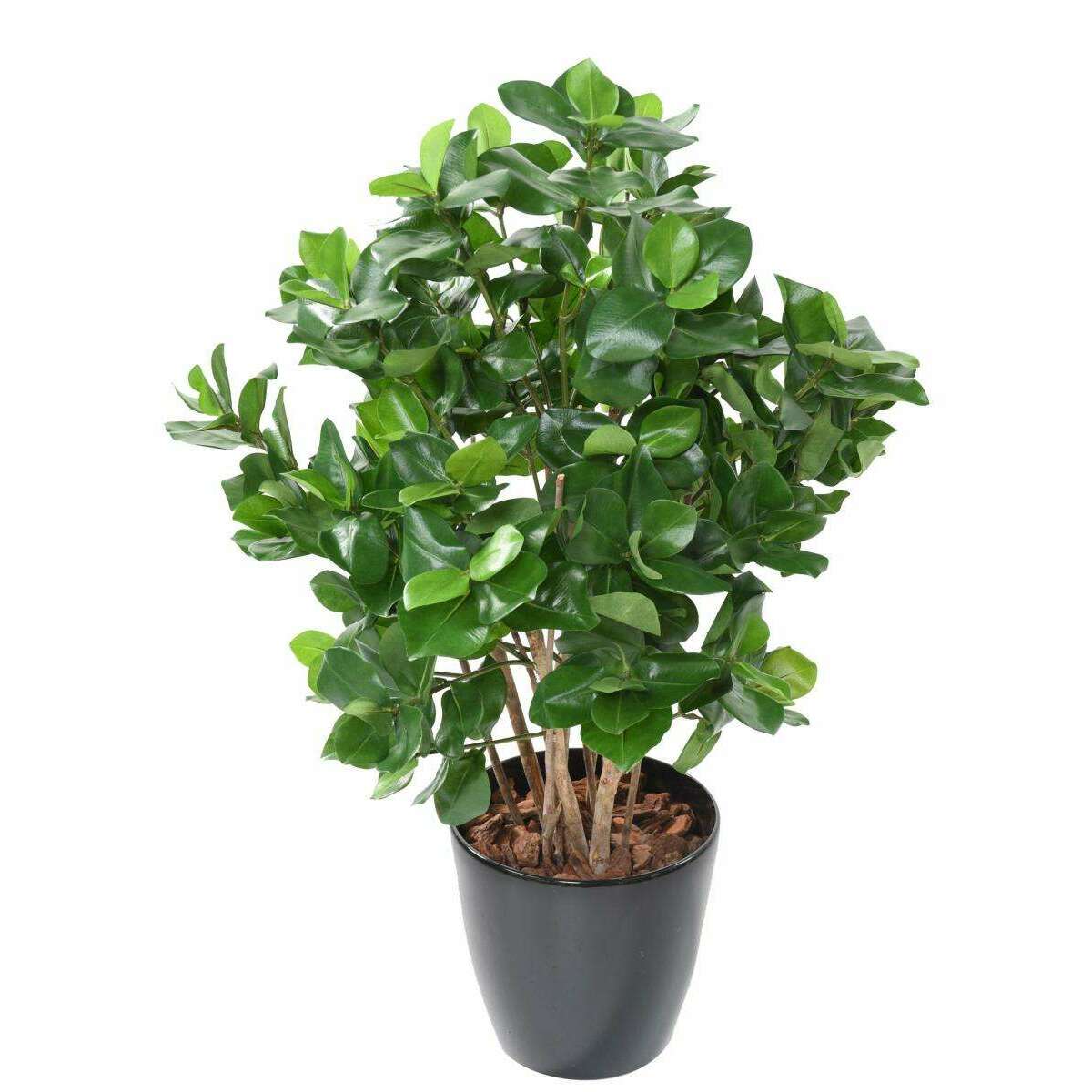 Plante artificielle Clusia buisson - décoration d'intérieur - H.95cm vert