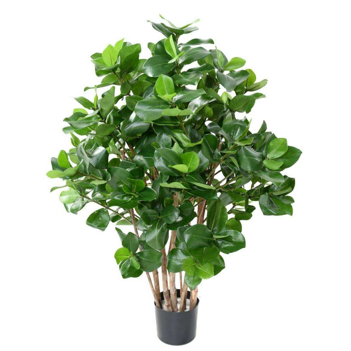 Plante artificielle Clusia buisson - décoration d'intérieur - H.95cm vert