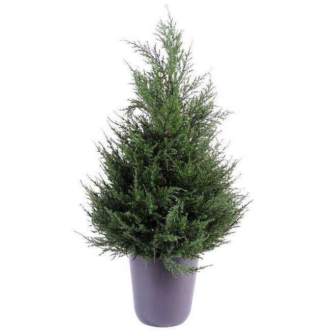 Plante artificielle Cypres artificiel (juniperus vert) - intérieur extérieur - H.65cm vert