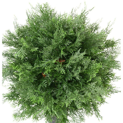 Plante artificielle Cyprès Lawson boule UV - intérieur extérieur - H.60cm