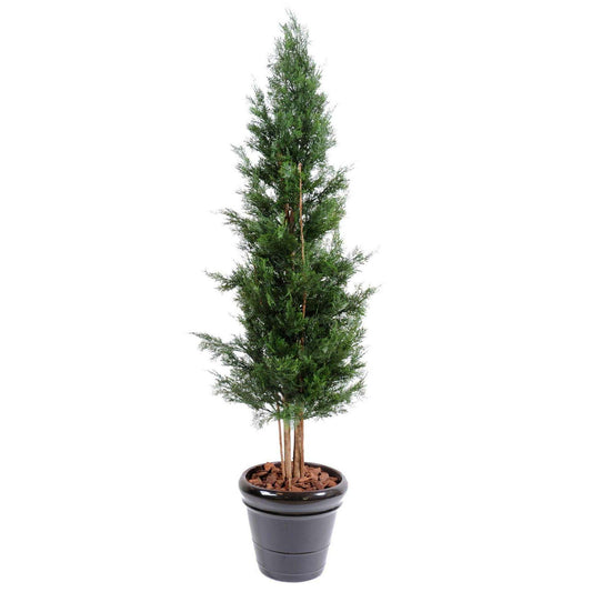 Plante artificielle Cypres Lawson UV résistant - intérieur extérieur - H.180cm vert