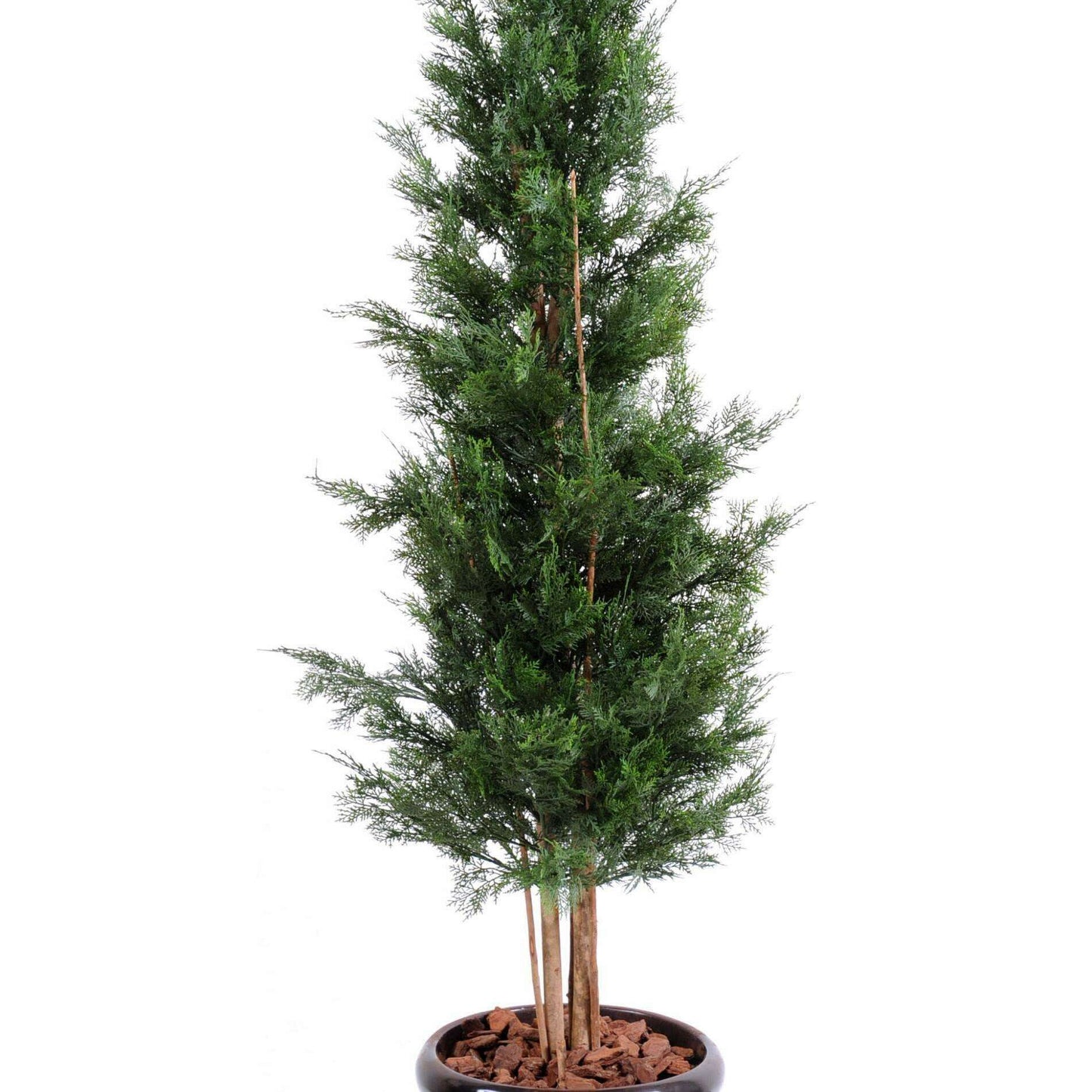 Plante artificielle Cypres Lawson UV résistant - intérieur extérieur - H.180cm vert