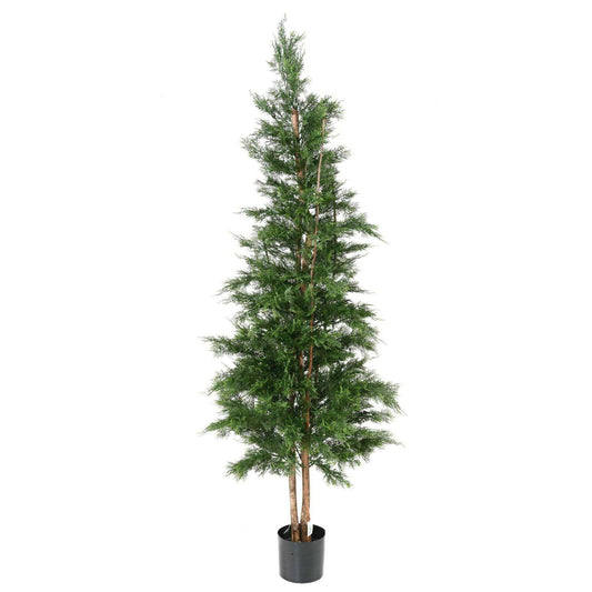 Plante artificielle Cypres Lawson UV résistant - intérieur extérieur - H.210cm vert