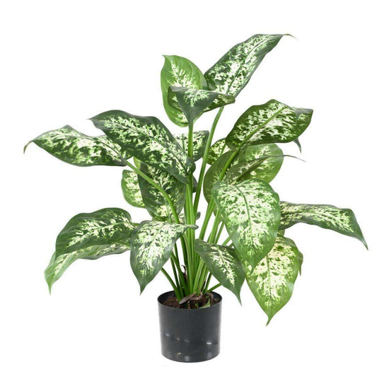 Plante artificielle Dieffenbachia en pot - plante d'intérieur - H.51cm panaché