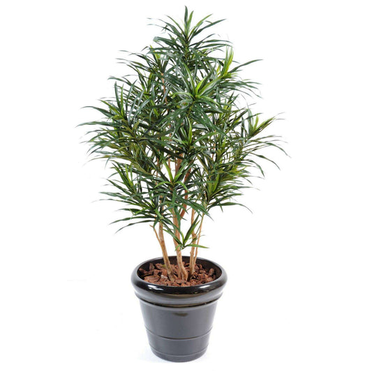 Plante artificielle Dracaena Anita - décoration d'intérieur - H.125cm vert