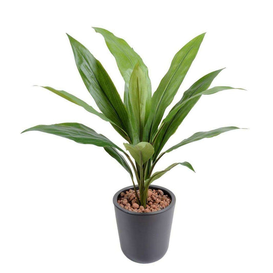 Plante artificielle Dracaena Cordyline en piquet - intérieur - H.60cm vert