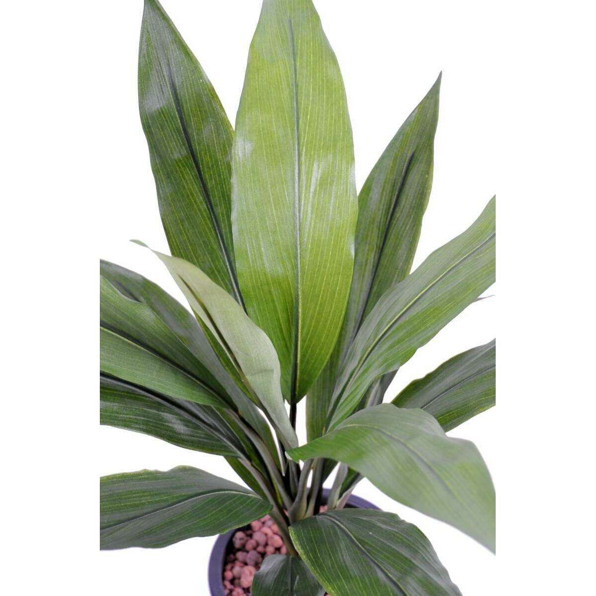 Plante artificielle Dracaena Cordyline en piquet - intérieur - H.60cm vert