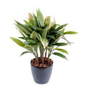 Plante artificielle Dracaena Cordyline touffe - déco d'intérieur - H.85cm vert jaune