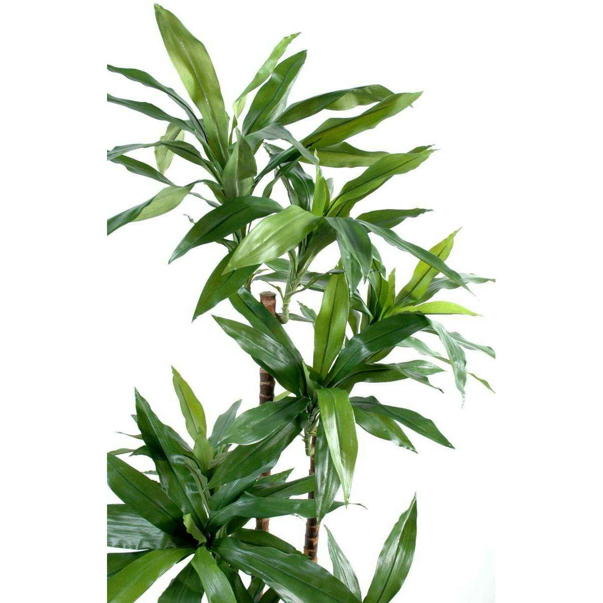 Plante artificielle Dracaena Fragrans - décoration d'intérieur - H.145cm vert