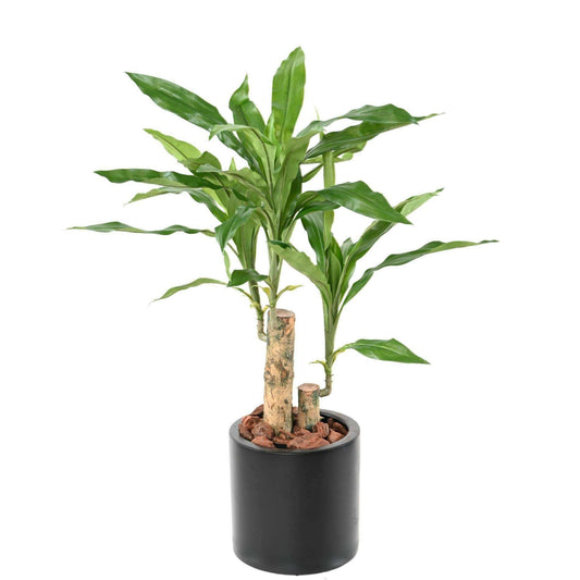 Plante artificielle Dracaena Fragrans Stud - déco d'intérieur - H.60cm vert