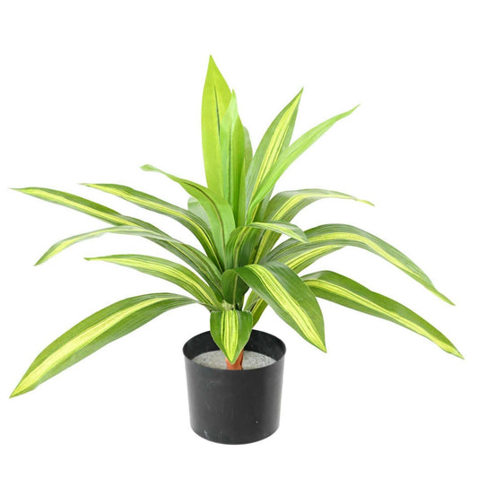 Plante artificielle Dracaena large - décoration d'intérieur - H.55cm panaché