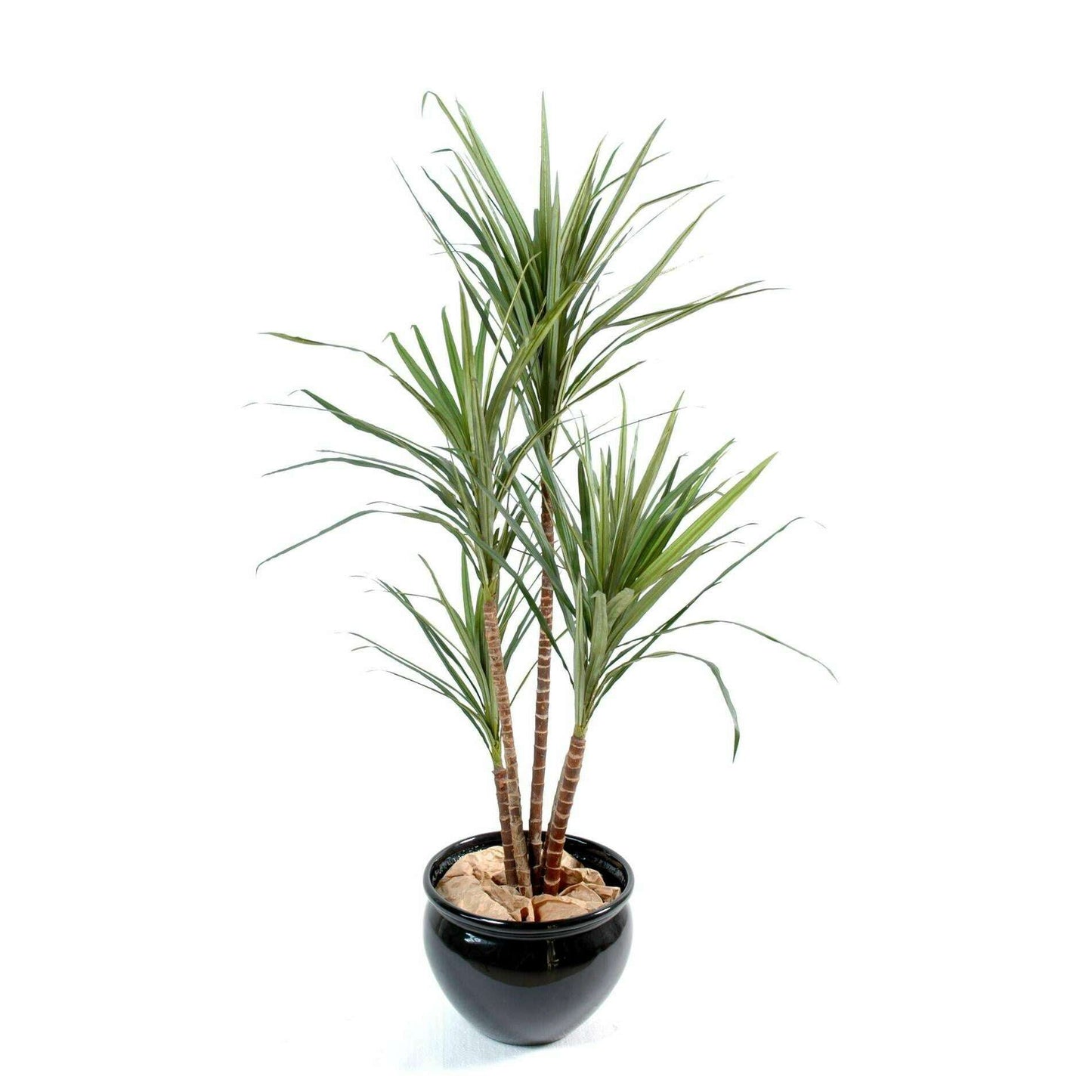 Plante artificielle Dracaena Marginata - décoration d'intérieur - H.160cm vert