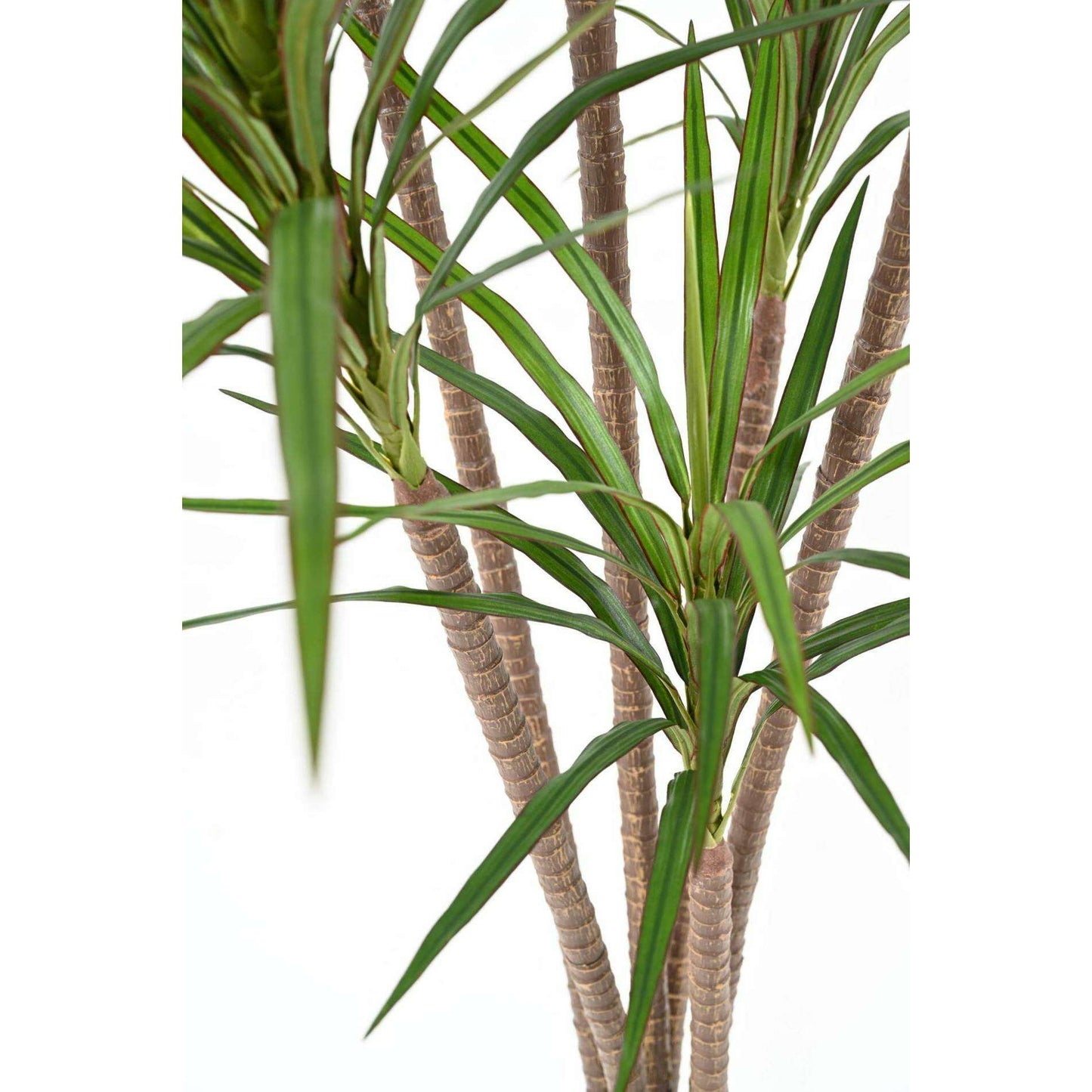 Plante artificielle Dracaena Marginata - décoration d'intérieur - H.160cm vert