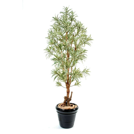 Plante artificielle Dracaena Reflexa - décoration d'intérieur - H.110cm vert jaune