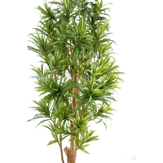 Plante artificielle Dracaena Reflexa - décoration d'intérieur - H.110cm vert