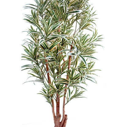 Plante artificielle Dracaena Reflexa - décoration d'intérieur - H.180cm vert jaune