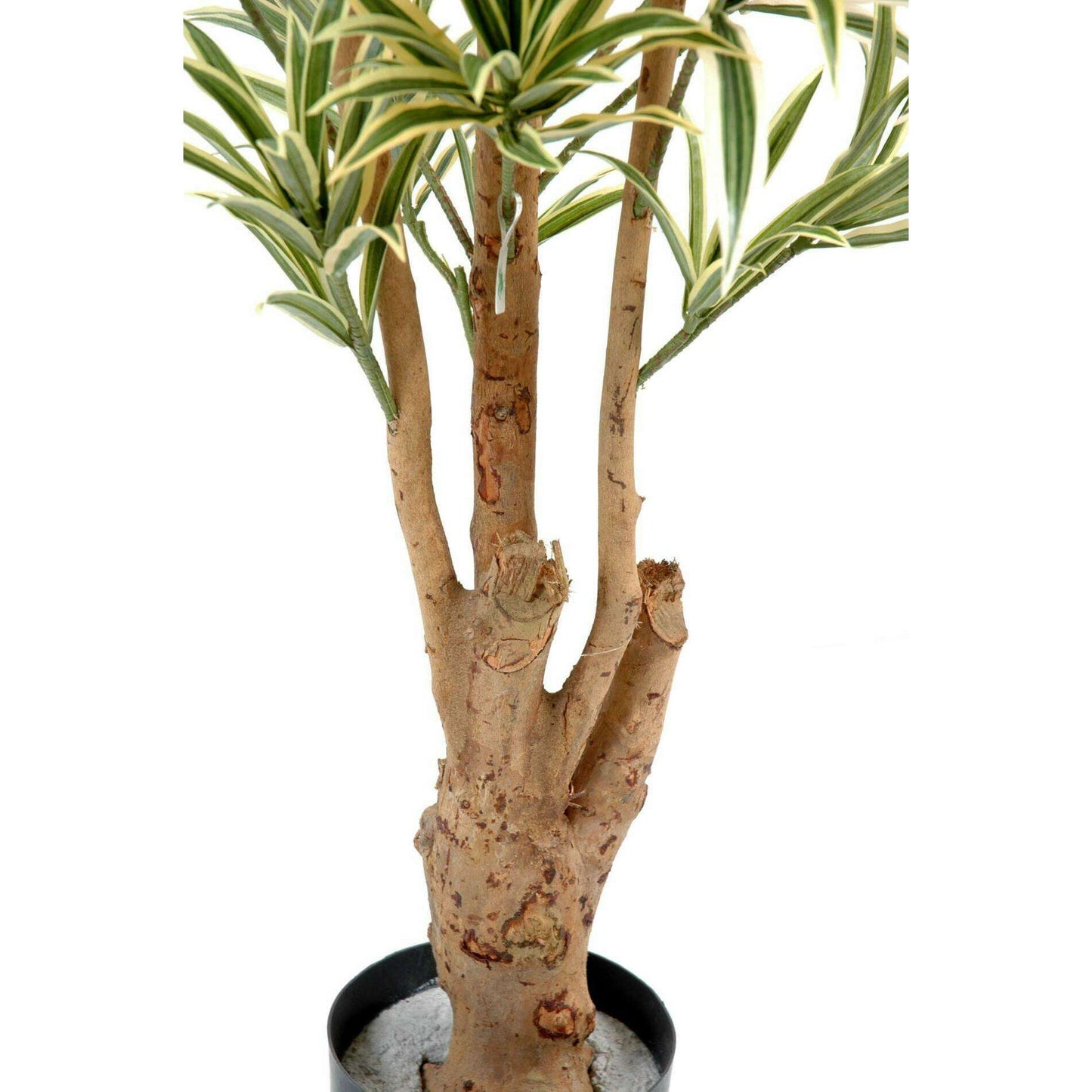 Plante artificielle Dracaena Reflexa - décoration d'intérieur - H.180cm vert jaune