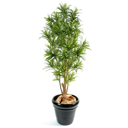 Plante artificielle Dracaena Reflexa - décoration d'intérieur - H.180cm vert