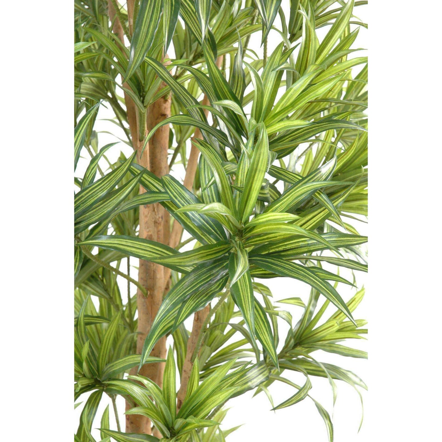 Plante artificielle Dracaena Reflexa - décoration d'intérieur - H.180cm vert