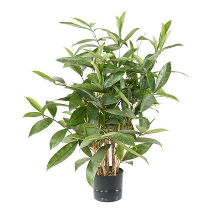 Plante artificielle Dracaena Surculosa - décoration d'intérieur - H.60cm vert