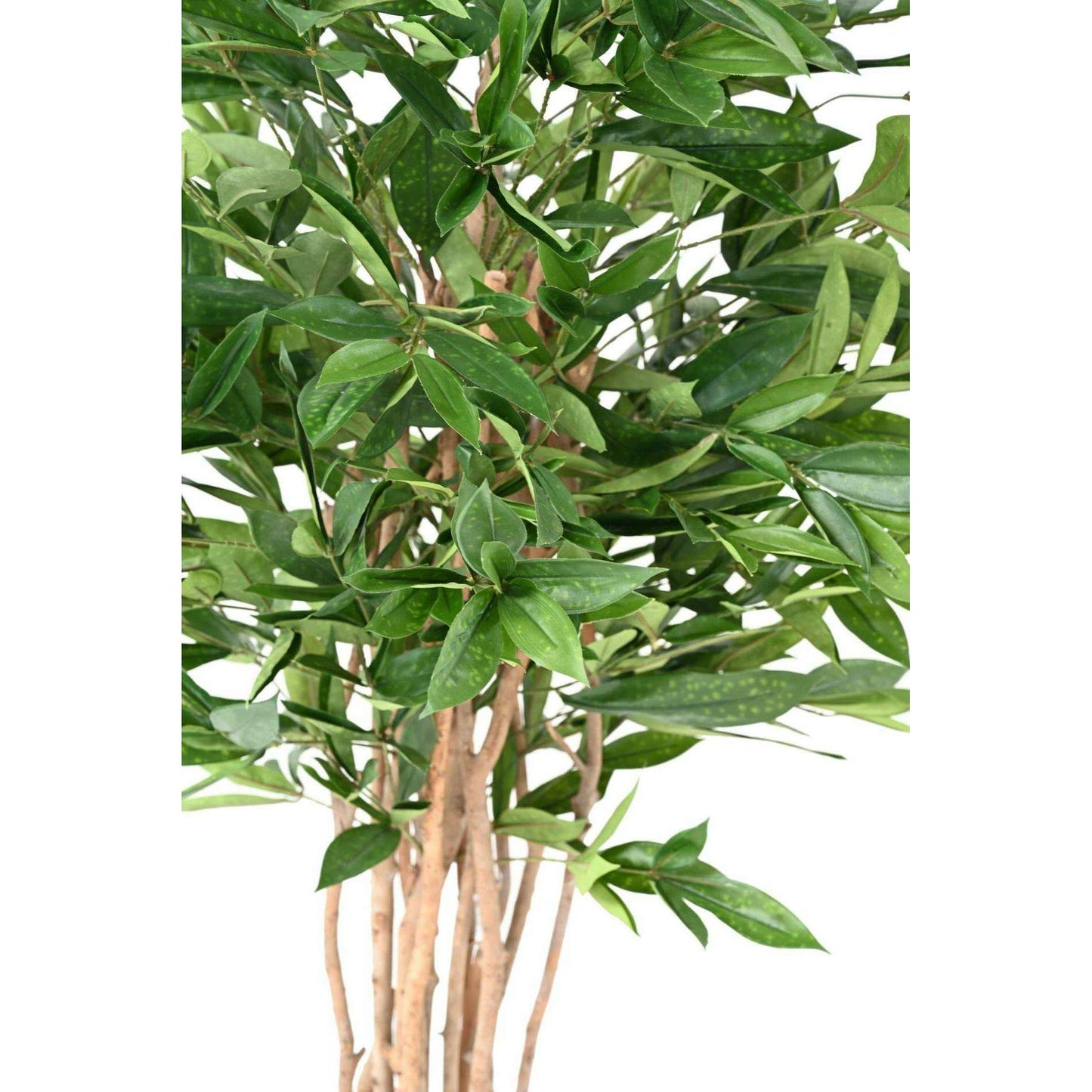 Plante artificielle Dracaena Surculosa - plante verte d'intérieur - H.155cm