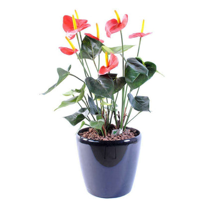 Plante artificielle fleurie Anthurium en pot - décoration d'intérieur - H.50cm rouge