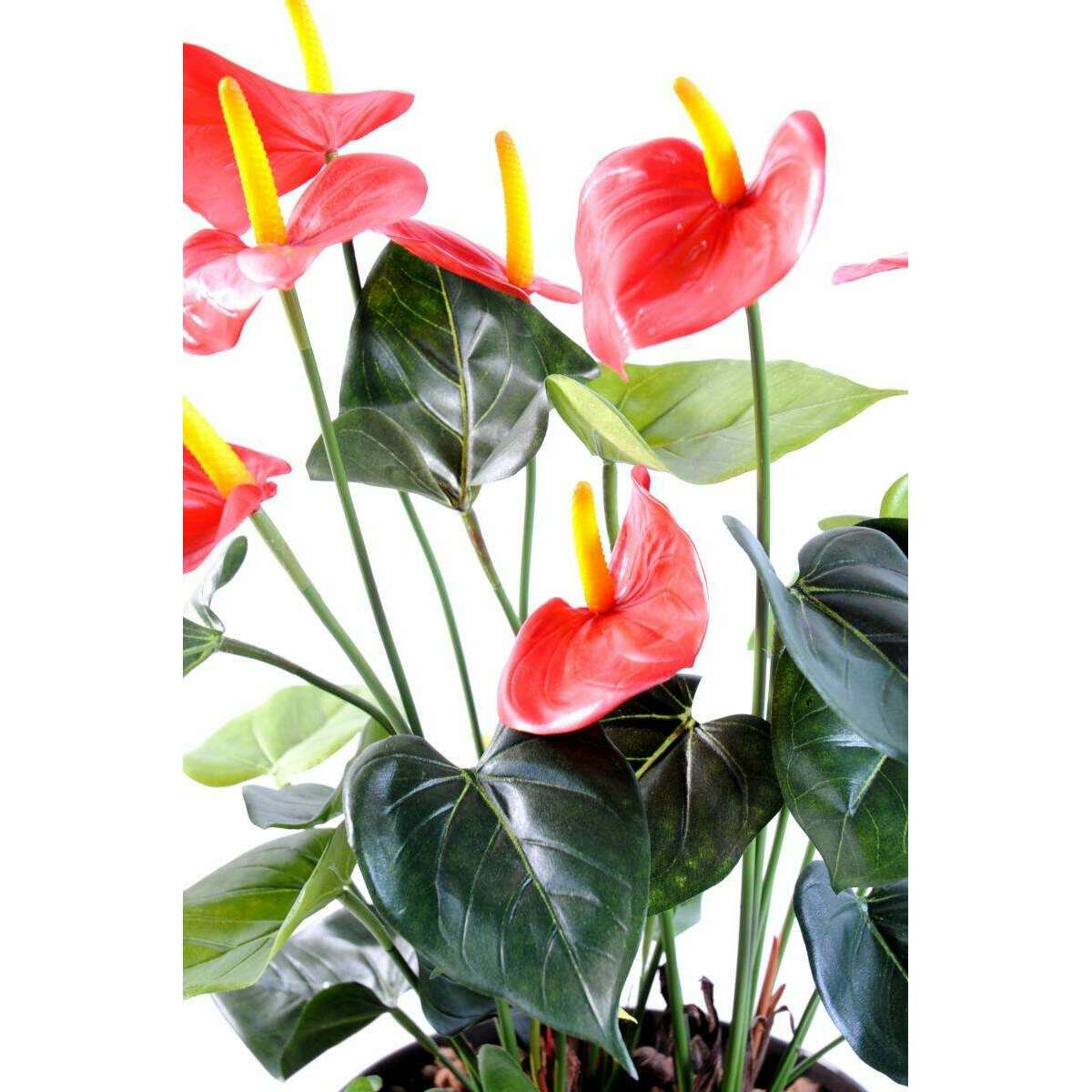 Plante artificielle fleurie Anthurium en pot - décoration d'intérieur - H.50cm rouge