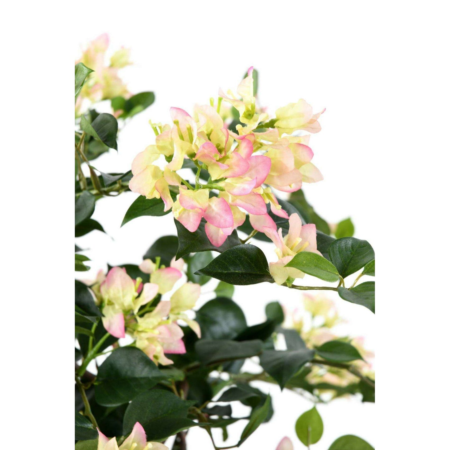 Plante artificielle fleurie Bougainvillier - arbre semi-naturel d'intérieur - H.150cm blanc rose