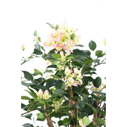 Plante artificielle fleurie Bougainvillier - arbre semi-naturel d'intérieur - H.150cm blanc rose