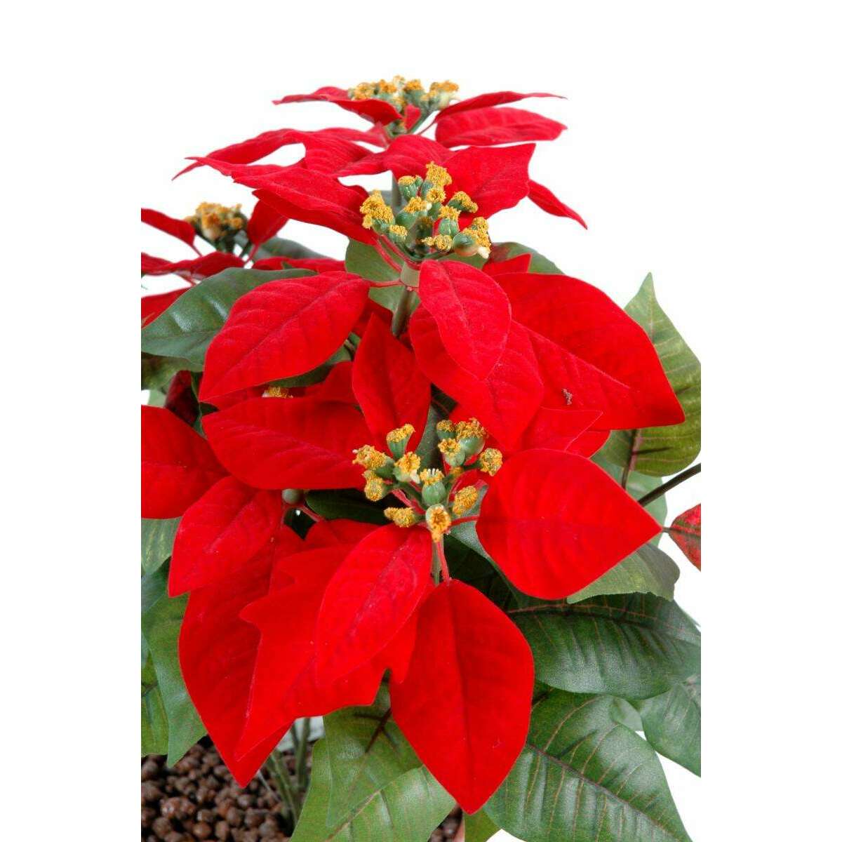 Plante artificielle fleurie Poinsettia - plante en piquet - H.40cm rouge