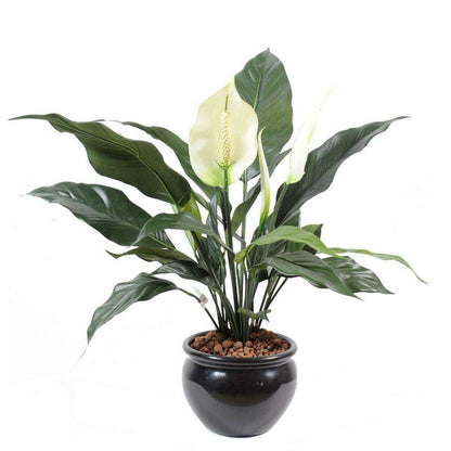 Plante artificielle fleurie Spathiphyllum en pot - intérieur - H.53cm