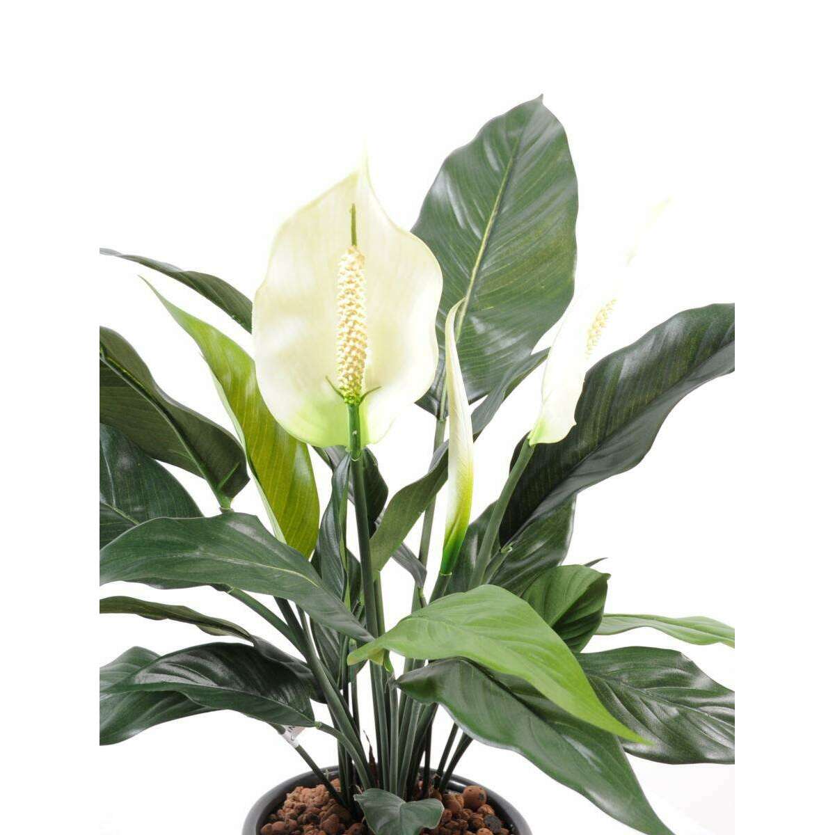 Plante artificielle fleurie Spathiphyllum en pot - intérieur - H.53cm