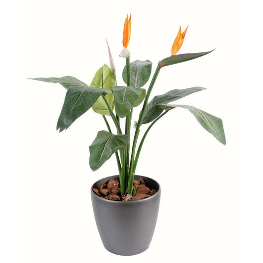 Plante artificielle fleurie Strelitzia 2 fleurs - décoration intérieure - H.85cm