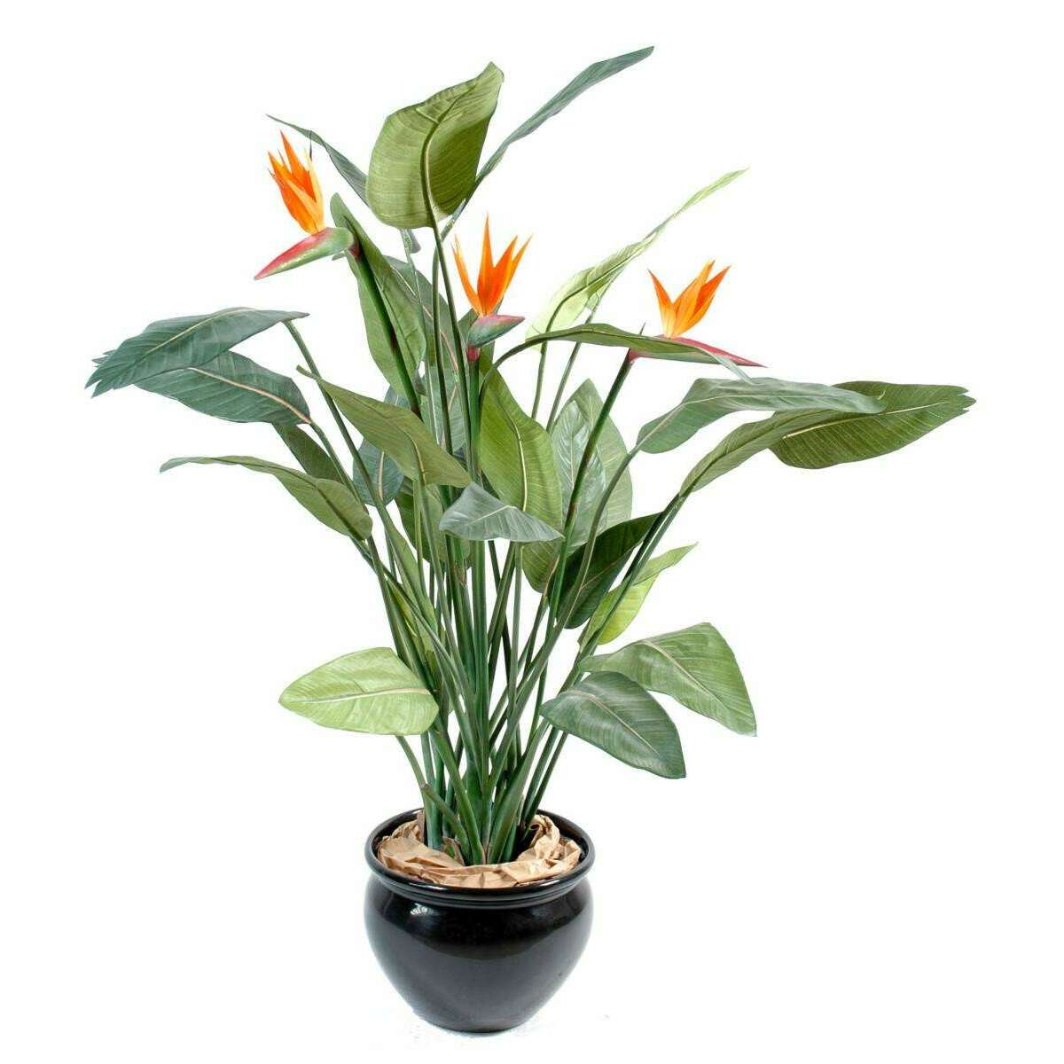 Plante artificielle fleurie Strelitzia 3 fleurs - décoration d'intérieur - H.150cm