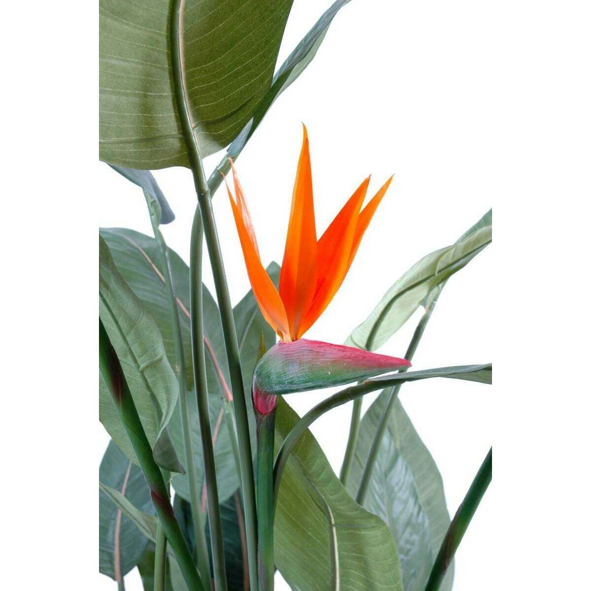 Plante artificielle fleurie Strelitzia 3 fleurs - décoration d'intérieur - H.150cm