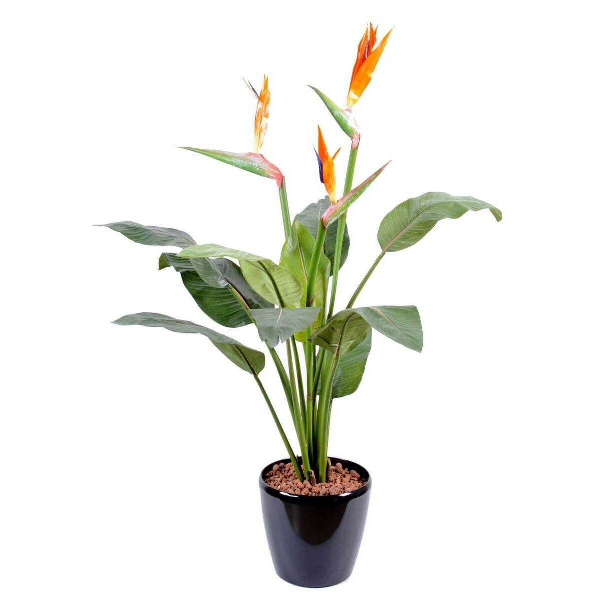 Plante artificielle fleurie Strelitzia 3 fleurs larges - décoration intérieure - H.98cm