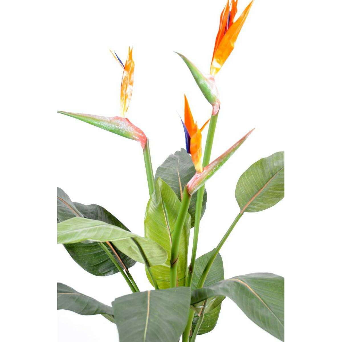 Plante artificielle fleurie Strelitzia 3 fleurs larges - décoration intérieure - H.98cm