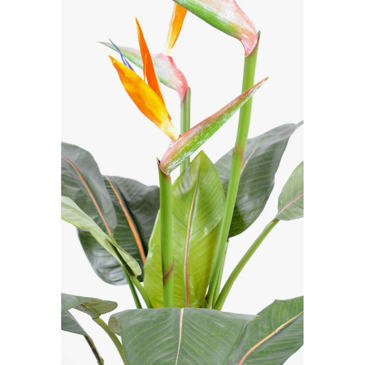 Plante artificielle fleurie Strelitzia 3 fleurs larges - décoration intérieure - H.98cm