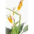 Plante artificielle fleurie Strelitzia 3 fleurs larges - décoration intérieure - H.98cm