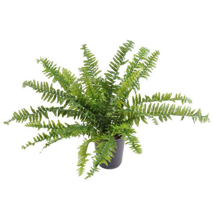 Plante artificielle Fougère Boston en piquet - intérieur - H.65cm Ø.80cm