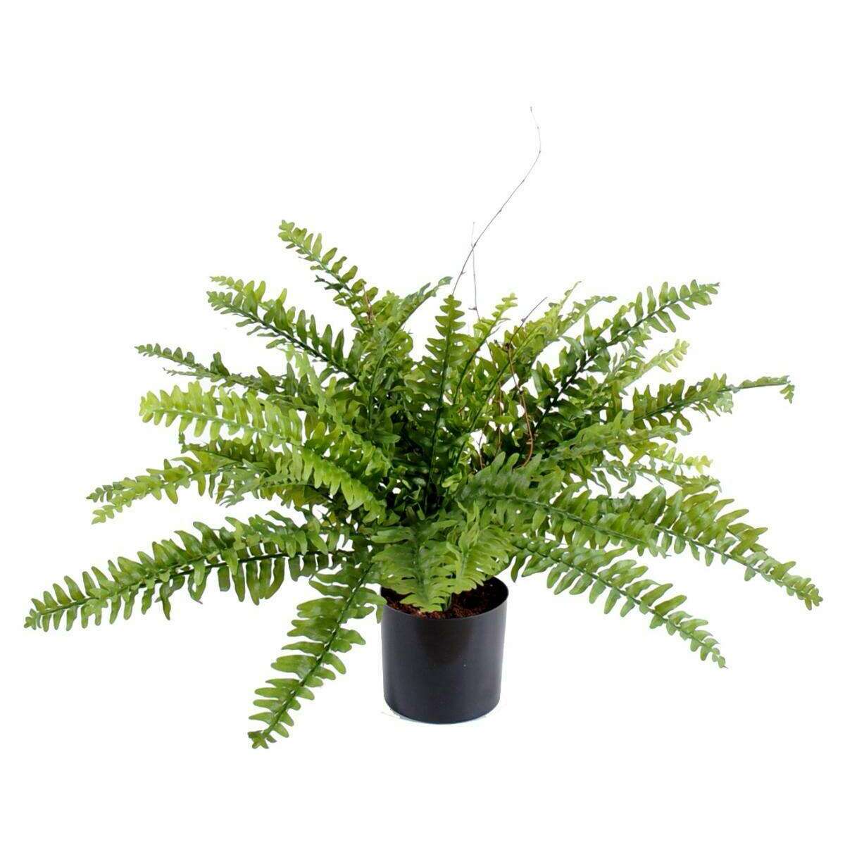 Plante artificielle Fougère Boston en pot - décoration d'intérieur - H.50cm vert